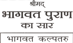 Bhagwat Puran Saar | श्रीमद्भागवत पुराण सार: भगवान विष्णु और कृष्ण लीलाओं का संक्षिप्त वर्णन | - PoojaBooks.Com