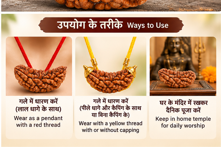 1 Mukhi Rudraksha bead worn with red or yellow thread or placed in a home temple