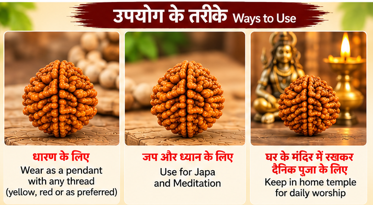Ways to use a 2 Mukhi Rudraksha bead for wearing with a preferred thread, japa, meditation and home temple worship