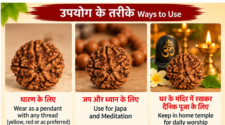 Ways to use a 5 Mukhi Rudraksha bead for wearing with a preferred thread, japa, meditation and home temple worship