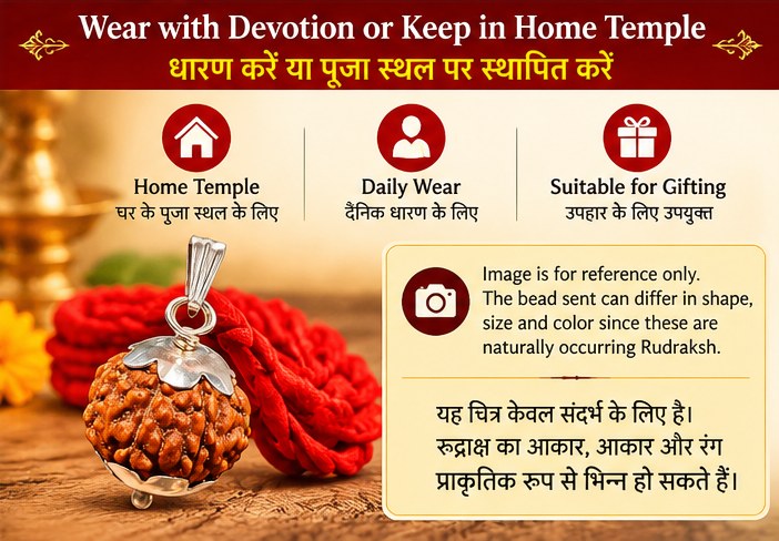 8 Mukhi Rudraksha pendant for prayer and daily home temple worship