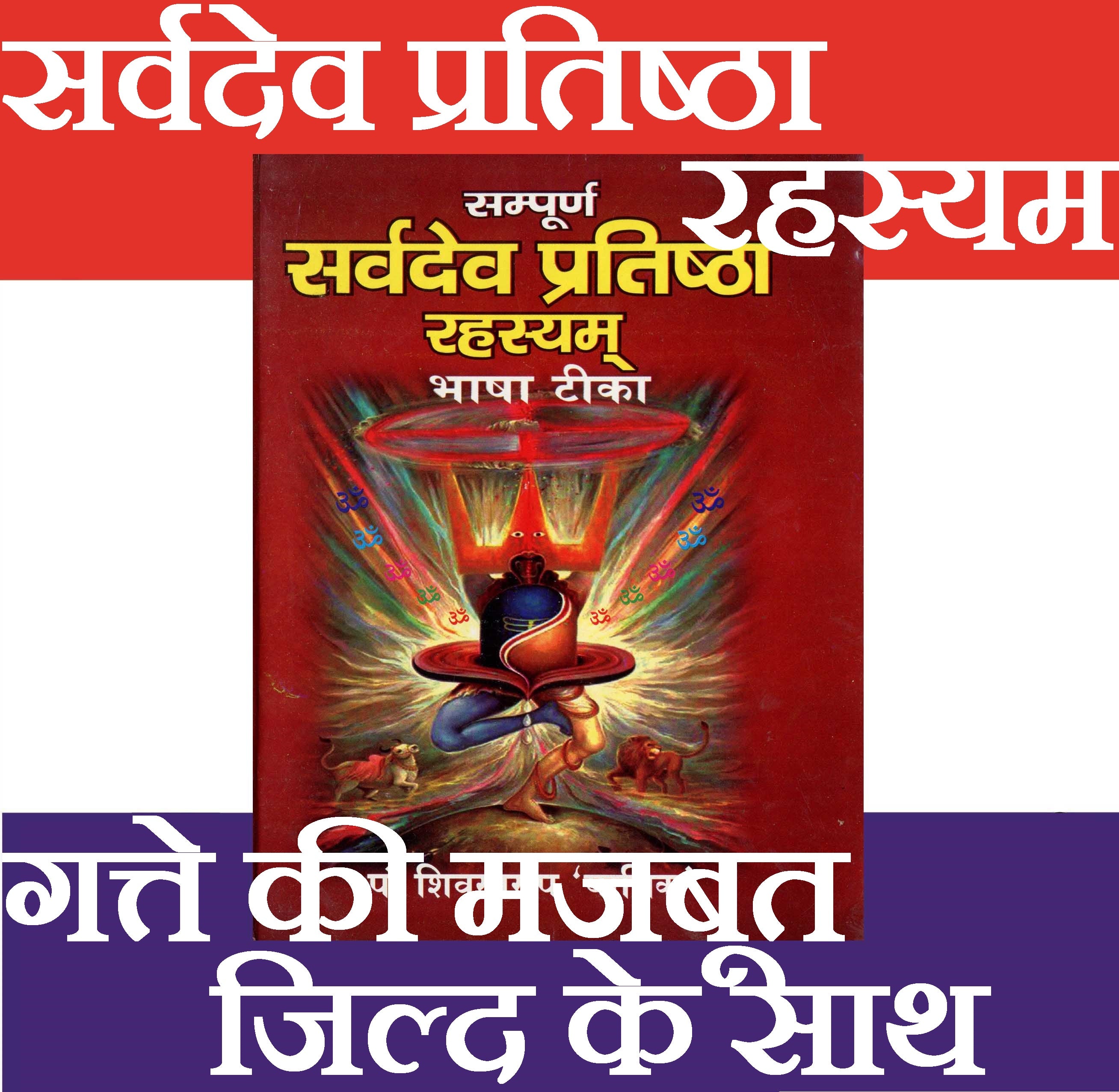 Sarvdev Pratishta Rehesyam | Has Process of Doing Pran Prathishtha of All Gods, Making Idol Alive - PoojaBooks.Com